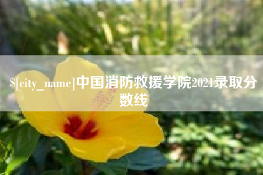 那曲中国消防救援学院2021录取分数线