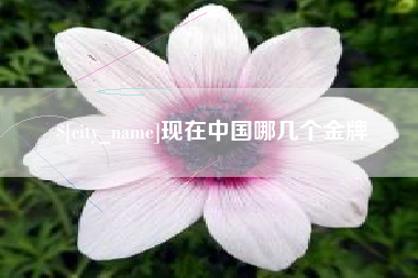 那曲现在中国哪几个金牌