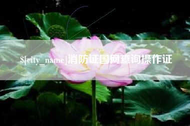 那曲消防证国网查询操作证