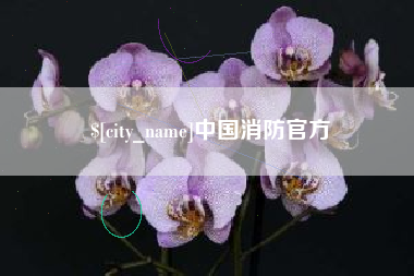 那曲中国消防官方