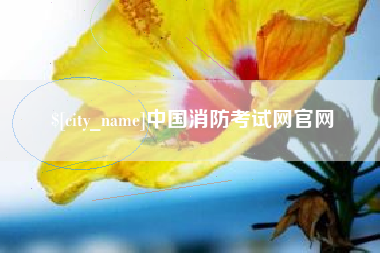 那曲中国消防考试网官网