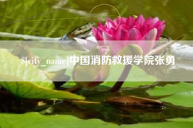 那曲中国消防救援学院张勇