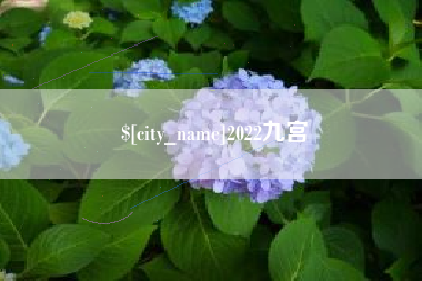 那曲2022九宫