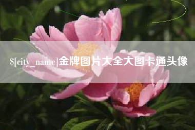 那曲金牌图片大全大图卡通头像