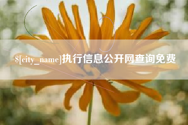 那曲执行信息公开网查询免费