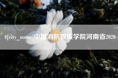 那曲中国消防救援学院河南省2020